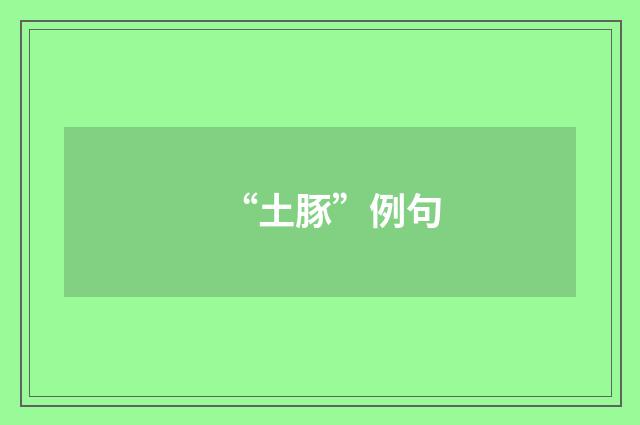 “土豚”例句