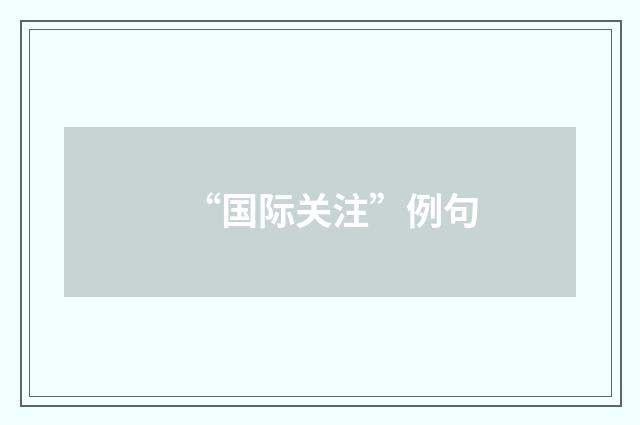 “国际关注”例句