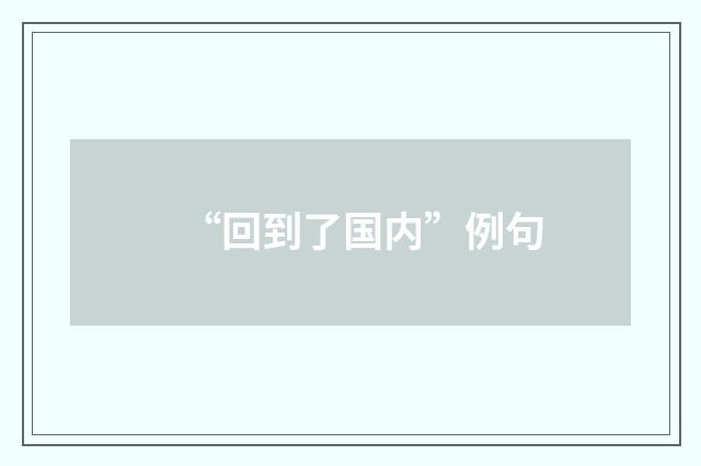 “回到了国内”例句