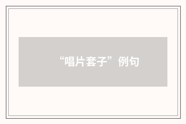 “唱片套子”例句