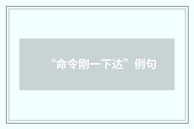 “命令刚一下达”例句
