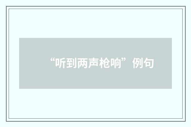 “听到两声枪响”例句