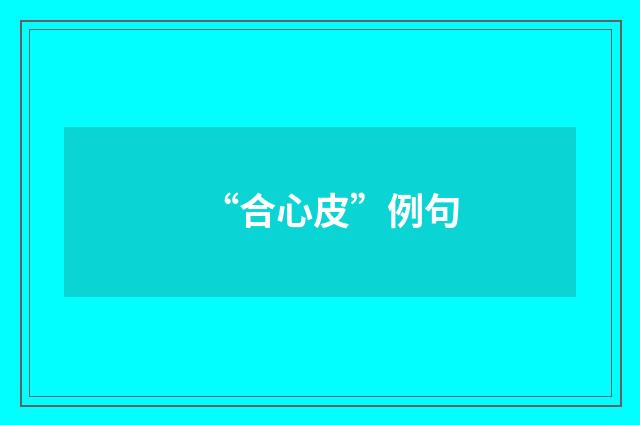 “合心皮”例句