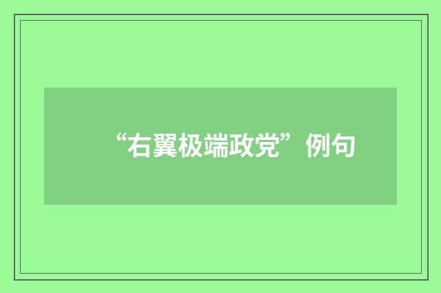 “右翼极端政党”例句