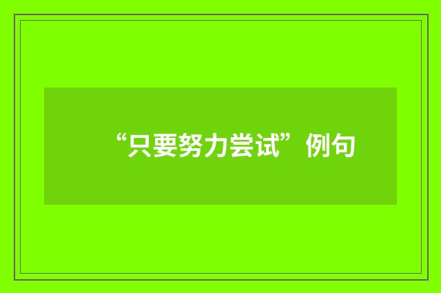 “只要努力尝试”例句
