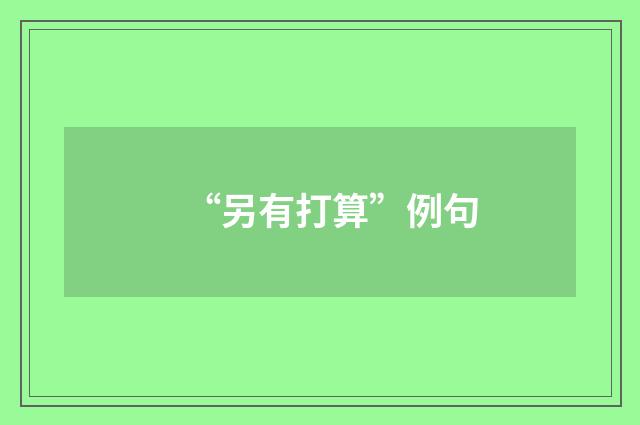 “另有打算”例句
