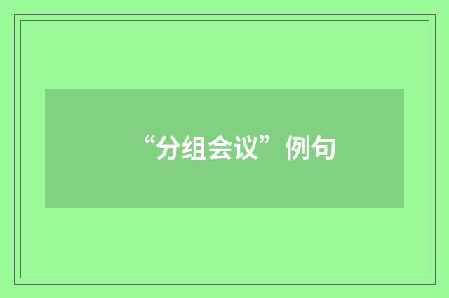 “分组会议”例句