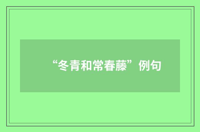 “冬青和常春藤”例句