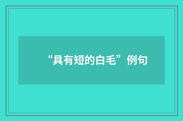 “具有短的白毛”例句