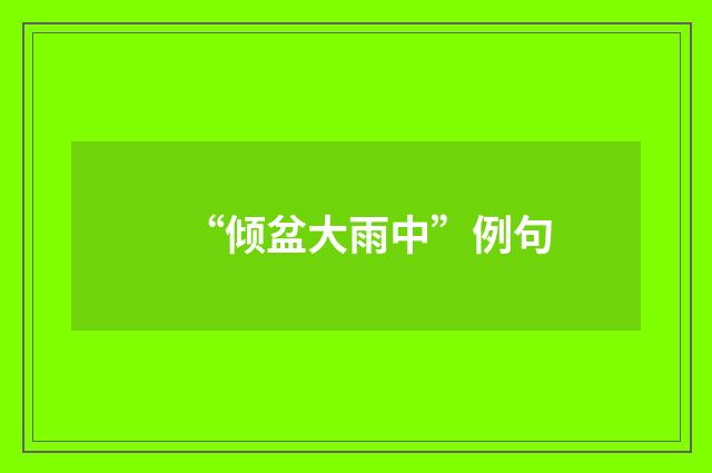 “倾盆大雨中”例句