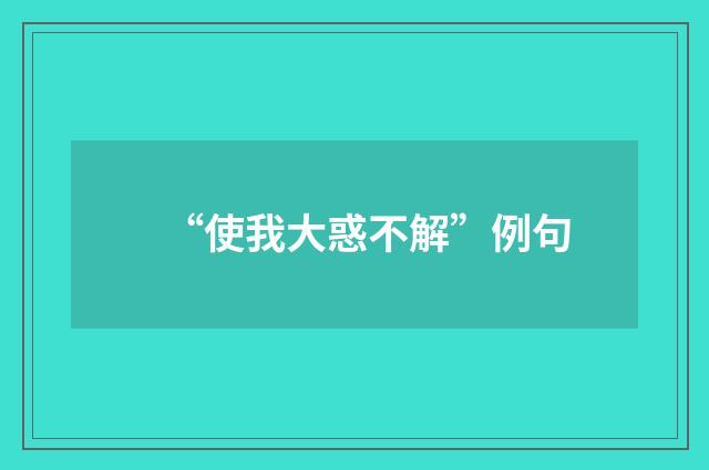 “使我大惑不解”例句