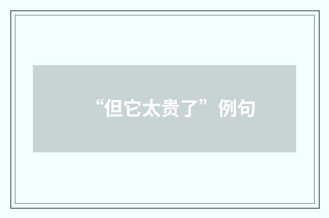“但它太贵了”例句