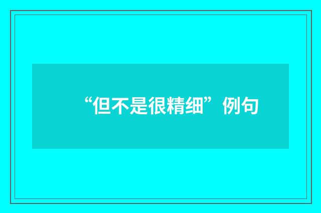 “但不是很精细”例句
