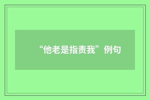 “他老是指责我”例句