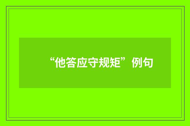 “他答应守规矩”例句