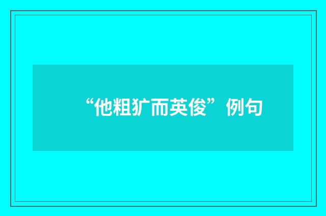 “他粗犷而英俊”例句