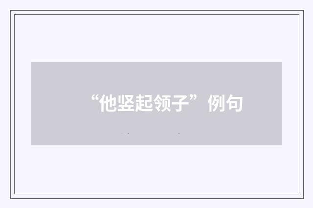 “他竖起领子”例句