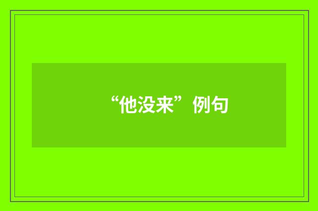 “他没来”例句