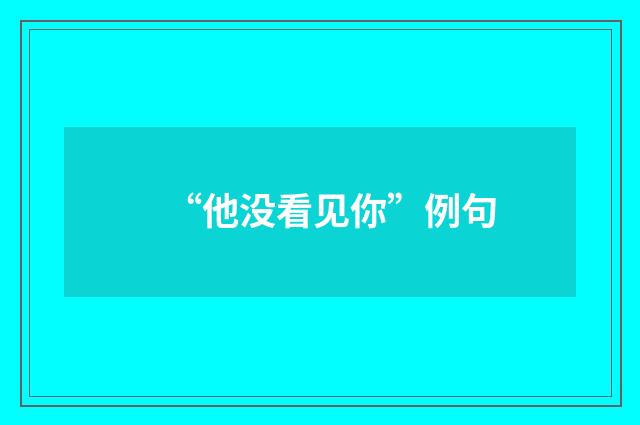 “他没看见你”例句