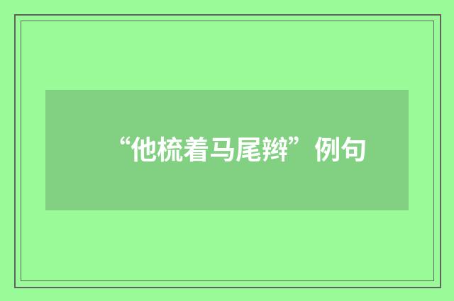 “他梳着马尾辫”例句