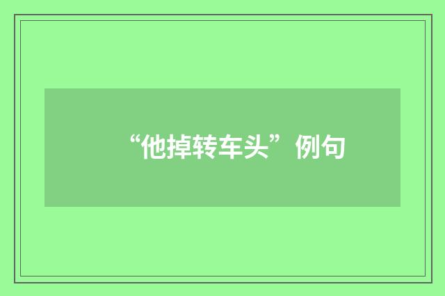 “他掉转车头”例句