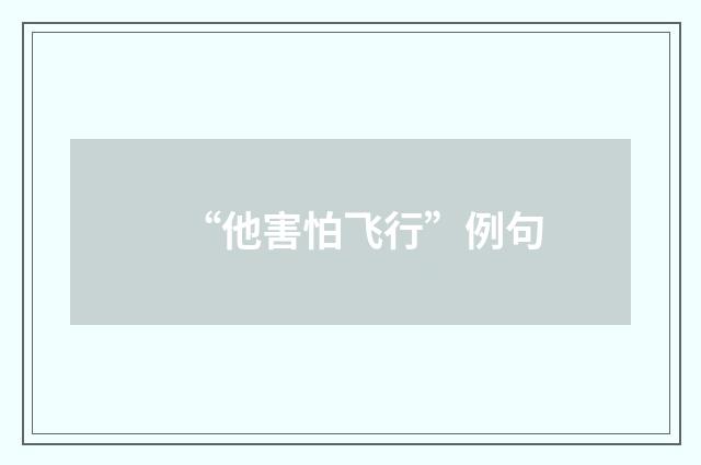 “他害怕飞行”例句
