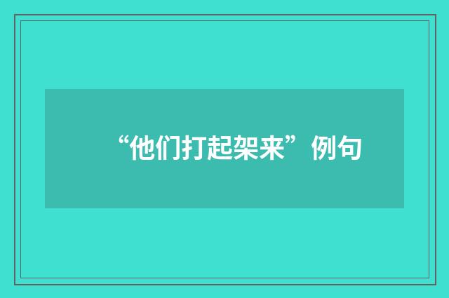“他们打起架来”例句