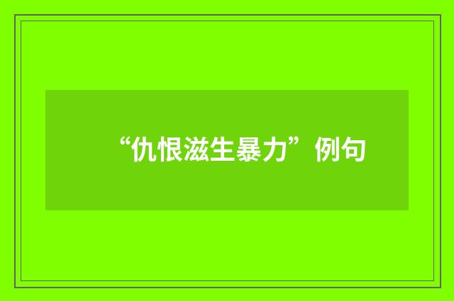 “仇恨滋生暴力”例句