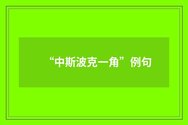 “中斯波克一角”例句
