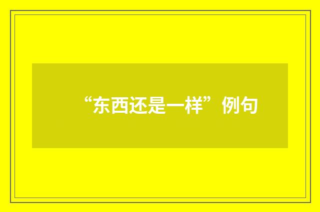 “东西还是一样”例句