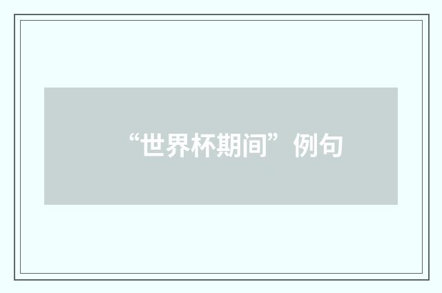 “世界杯期间”例句