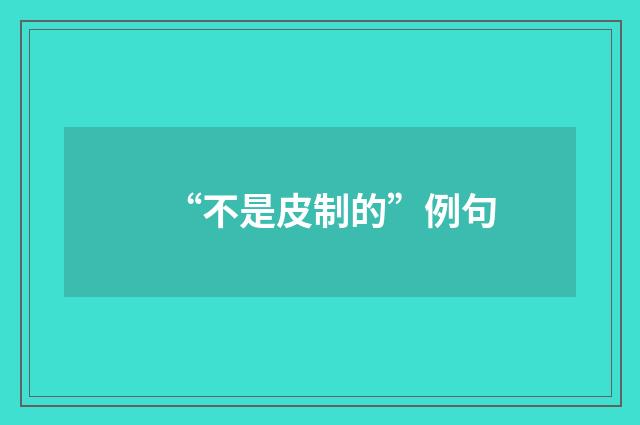 “不是皮制的”例句