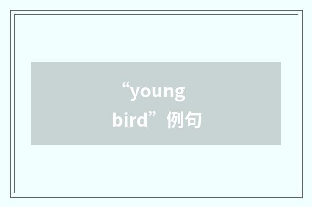 “young bird”例句