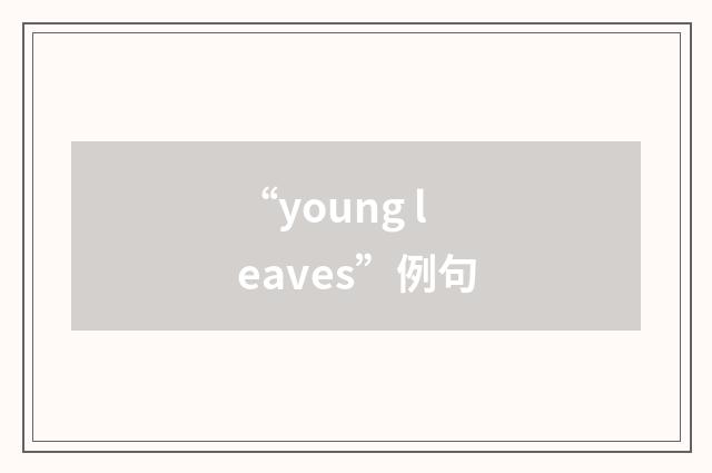 “young leaves”例句
