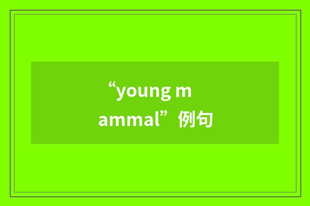 “young mammal”例句