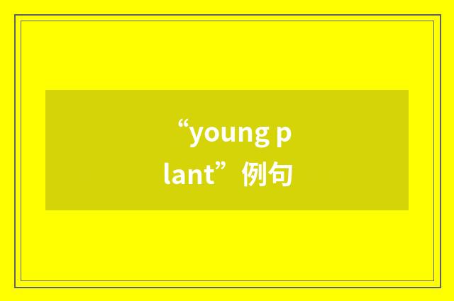 “young plant”例句