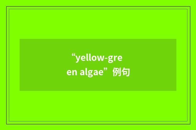 “yellow-green algae”例句