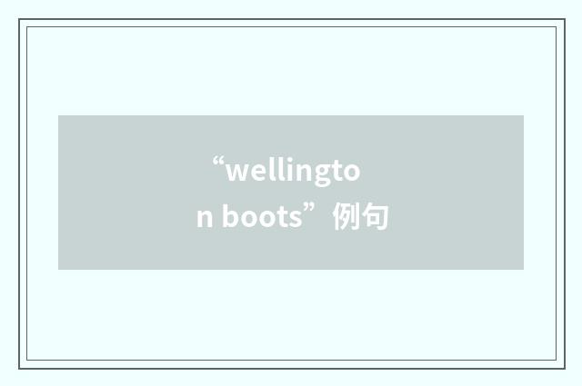 “wellington boots”例句