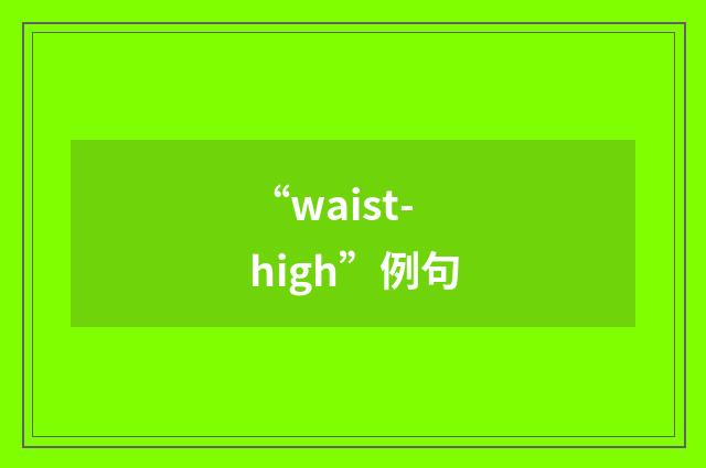“waist-high”例句