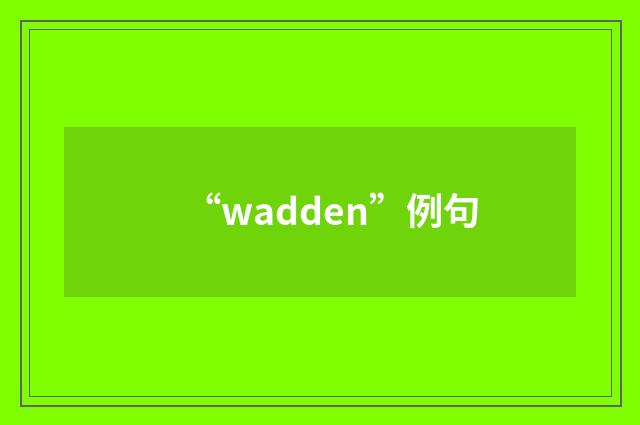 “wadden”例句
