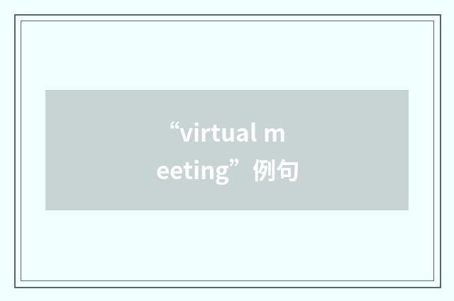 “virtual meeting”例句