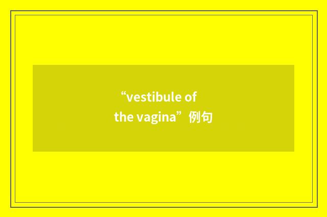 “vestibule of the vagina”例句