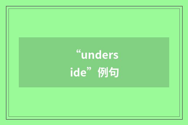 “underside”例句