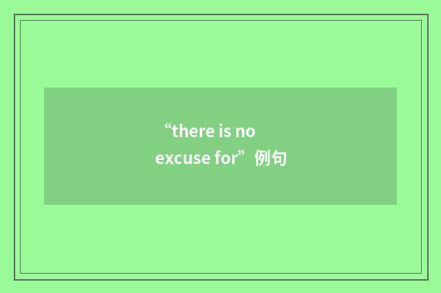 “there is no excuse for”例句