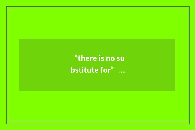 “there is no substitute for”例句