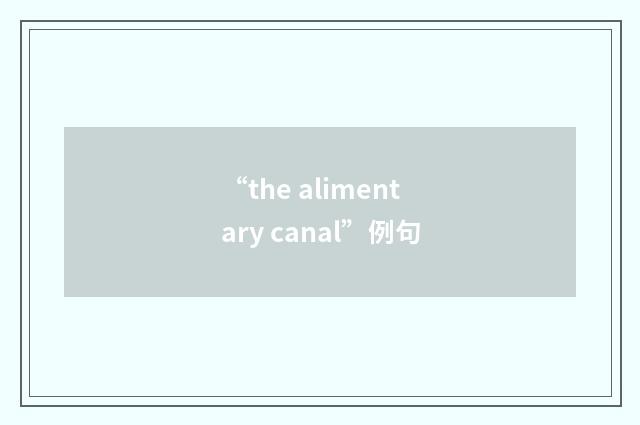 “the alimentary canal”例句