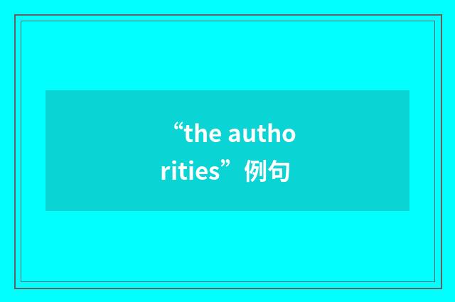“the authorities”例句
