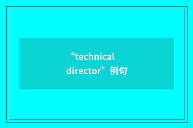 “technical director”例句