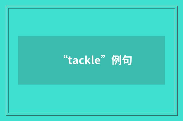 “tackle”例句