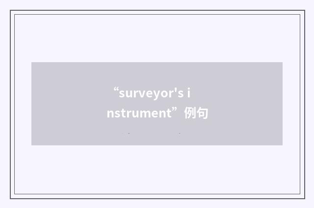 “surveyor's instrument”例句